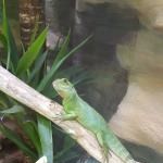 hygrometer terrarium luftfeuchtigkeit