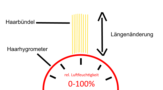 Haarhygrometer - Aufbau, Funktion, kaufen, Kalibrierung, eichen, Eichung, einstellen, justieren, Präzisions-Haarhygrometer, blondes Haar, Echthaar, funktionsweise, Preis